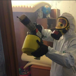 Уничтожение клопов в квартире. Тольятти